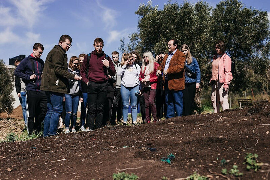 visitors listening to a guide at Konstas Olive Tours surrounded by olive trees